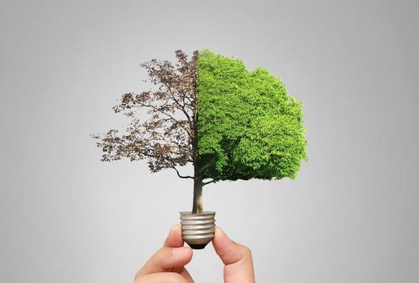 Enerji Tasarrufu ve Elektrik Faturası Nasıl Düşürülür? Pratik Elektrik Tasarruf Yöntemleri
